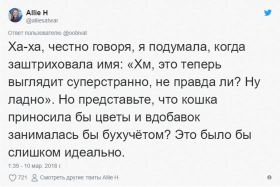 Эта очаровательная кошечка каждый день приносит своей хозяйке цветы. Правда отнюдь не из романтических побуждений