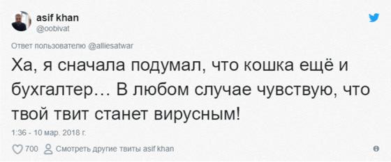 Эта очаровательная кошечка каждый день приносит своей хозяйке цветы. Правда отнюдь не из романтических побуждений