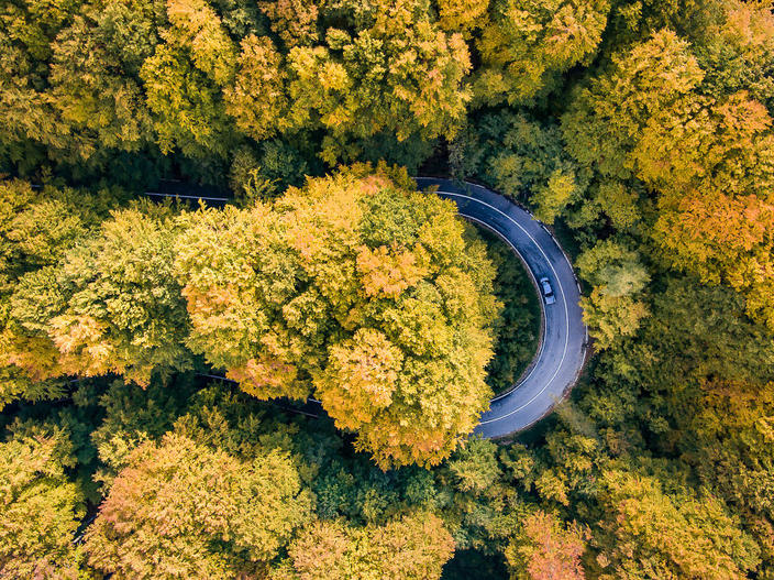 Я фоткаю дороги Трансильвании, потому что это настоящее чудо света. Да, это Трансильвания!