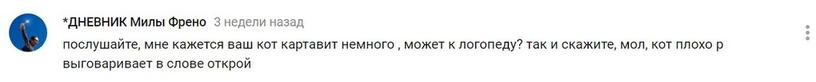 Кот Яков так хотел выйти, что закричал человеческим голосом «Открой мне». Хорошо, что хозяева засняли это на видео, иначе им никто бы не поверил