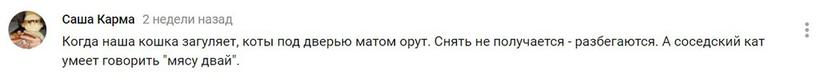 Кот Яков так хотел выйти, что закричал человеческим голосом «Открой мне». Хорошо, что хозяева засняли это на видео, иначе им никто бы не поверил