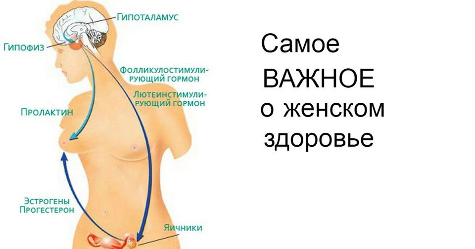 Самое ВАЖНОЕ о женском здоровье