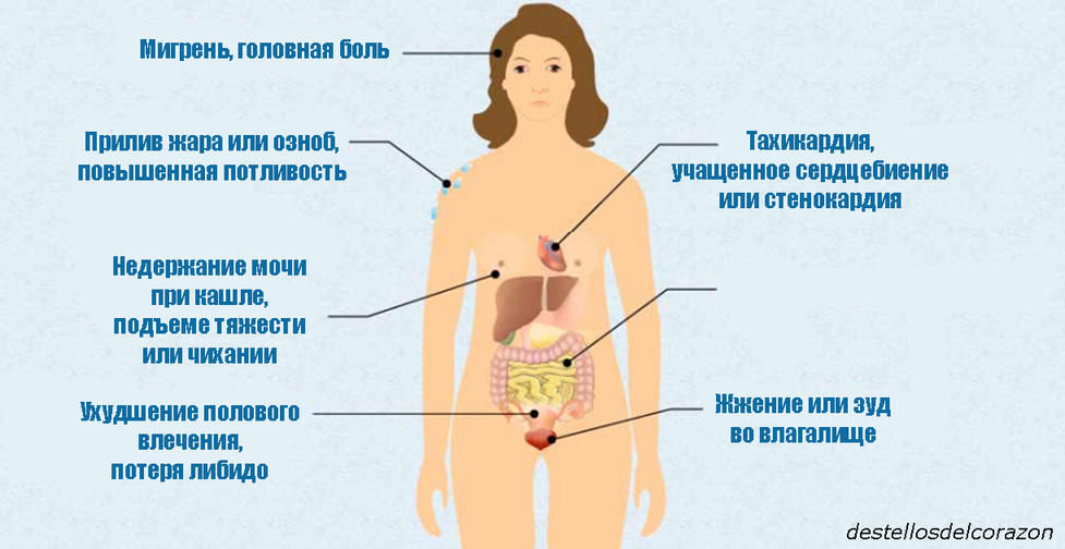 Когда наступает менопауза и каковы первые симптомы: каждая женщина обязана знать! Вы можете это дело отсрочить.