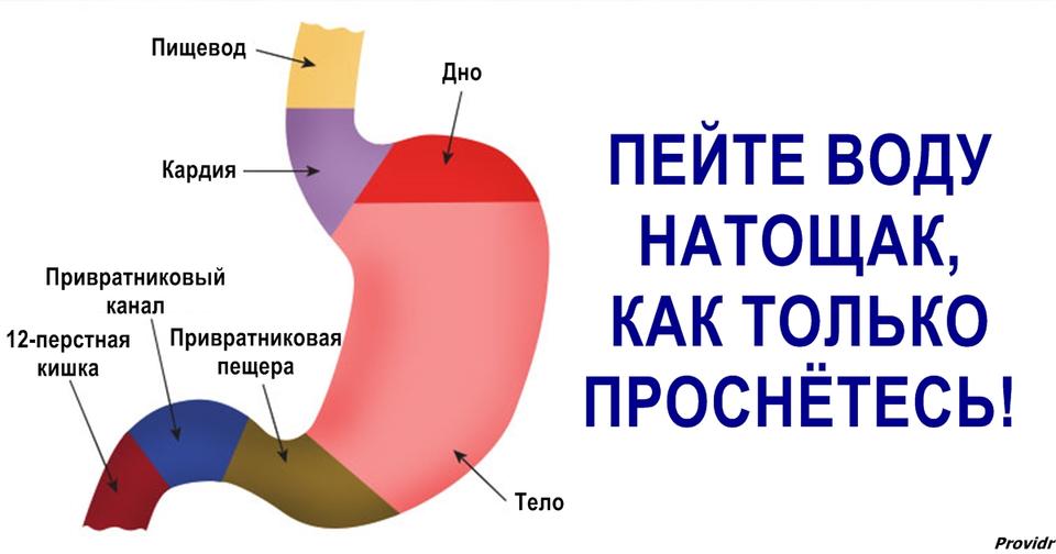 Вот почему надо пить воду натощак сразу после пробуждения Эффектов   куча.