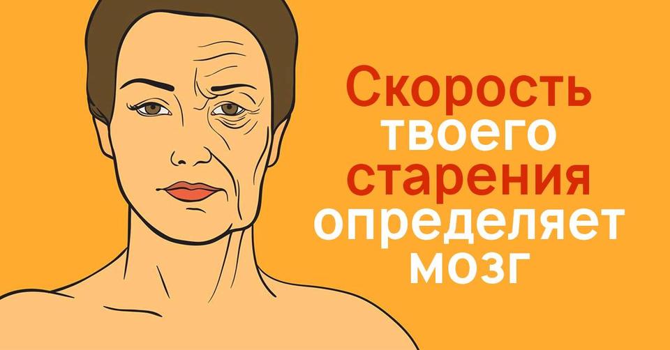 Замедлители старения: старость начинается от сигнала мозга