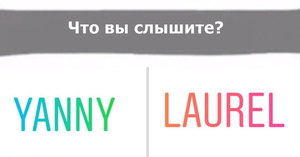 Слышать здесь. Янни и Лорел. Запись янни и Лорел. Тест Лорел янни. Что ты слышишь янни или Лорел.