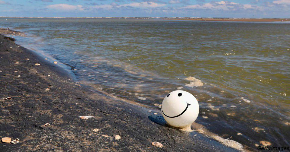 В водах Мексиканского залива зашкаливает количество фекальных бактерий! Купание в такой воде опасно для здоровья!