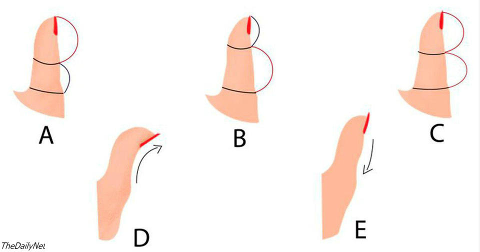 Вот как ваш характер зависит от формы вашего большого пальца Это важно!