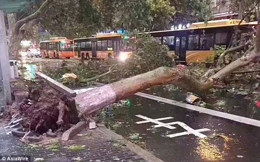 В Китае с неба на людей падали осьминоги, рыбы и другие морские деликатесы Ничего себе!