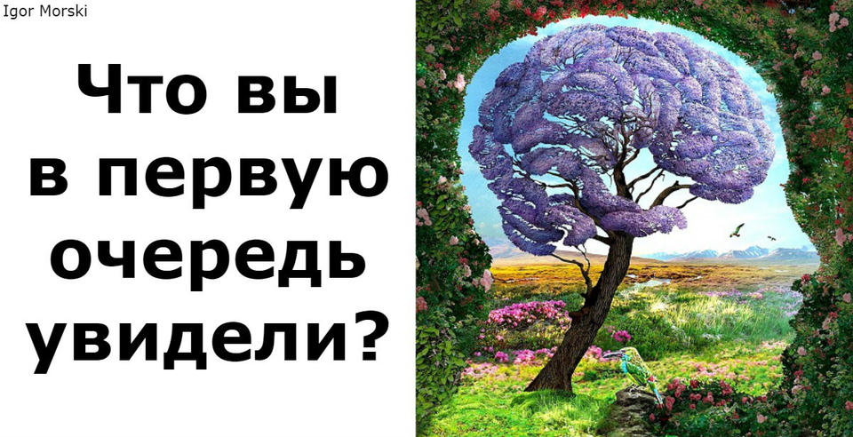 Первое, что вы заметили на этой картинке, раскрывает 1 ваш бессознательный секрет Проверьте себя.