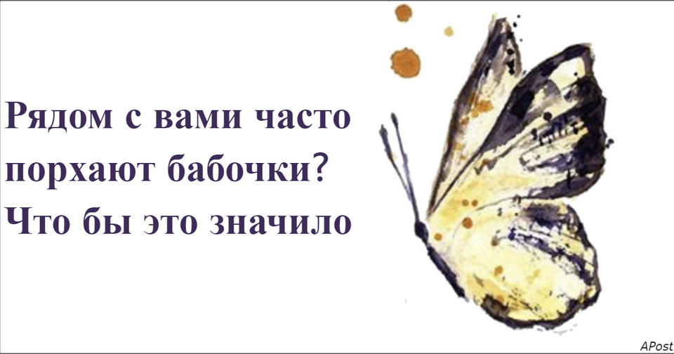 Если вы часто видите бабочек, вот что это значит для вашей судьбы Это все не просто так...