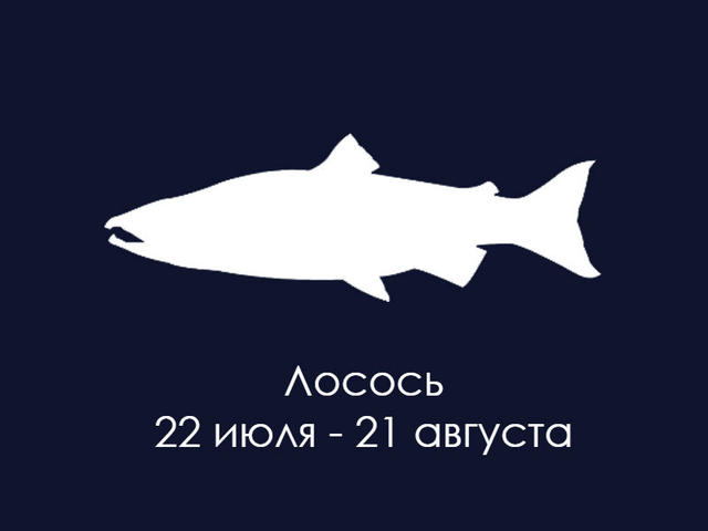 У американских индейцев были свои гороскопы. Вот кто вы по их знаку Зодиака Ничего нового: дата рождения - это все.