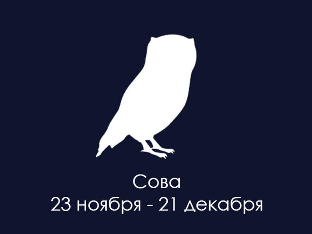 У американских индейцев были свои гороскопы. Вот кто вы по их знаку Зодиака Ничего нового: дата рождения - это все.