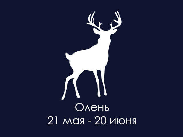 У американских индейцев были свои гороскопы. Вот кто вы по их знаку Зодиака Ничего нового: дата рождения - это все.