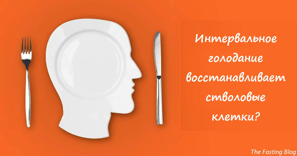 24 часовой пост регенерирует стволовые клетки и в 2 раза ускоряет метаболизм! Новое исследование.