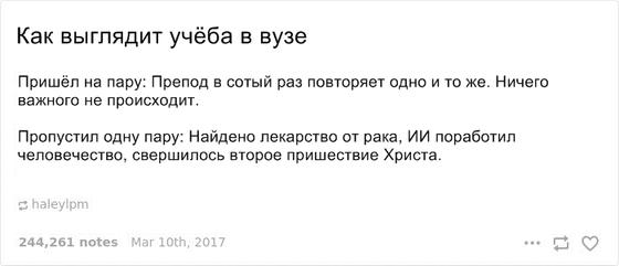 21 история о студенческой жизни, которая заставит вас плакать и смеяться одновременно Ностальгия или страшный сон?