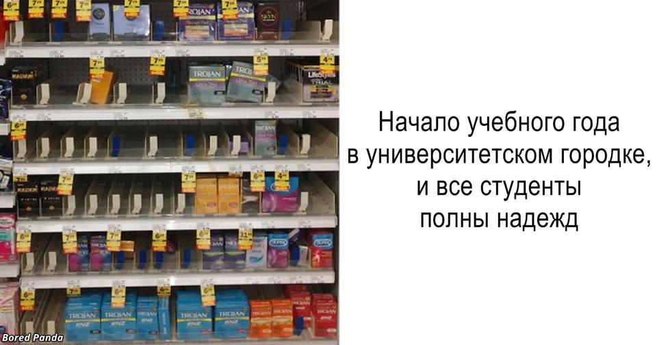 21 история о студенческой жизни, которая заставит вас плакать и смеяться одновременно Ностальгия или страшный сон?