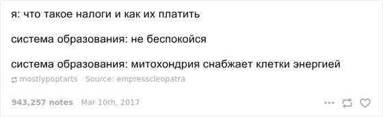 21 история о студенческой жизни, которая заставит вас плакать и смеяться одновременно Ностальгия или страшный сон?