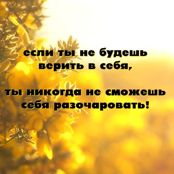 30 злых, циничных, но честных цитат неизвестного, который устал от «ванильных» постов в соцсетях Ударная доза демотивации!