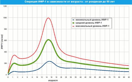 Инсулиноподобный фактор роста: функции, норма и отклонения