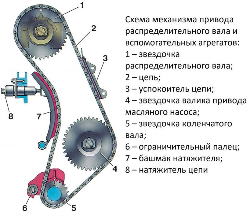 Успокоитель цепи   что это такое и как используется?