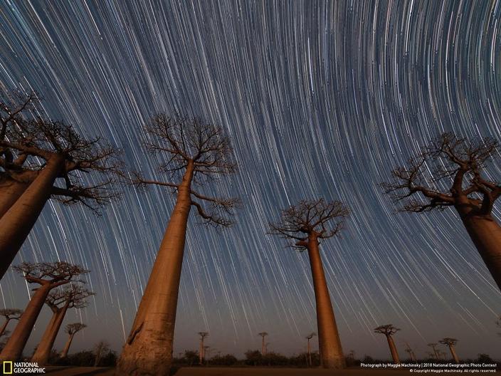 National Geographic выбрал 120 лучших фото 2018-го. Вот лучшие из лучших До мурашек!