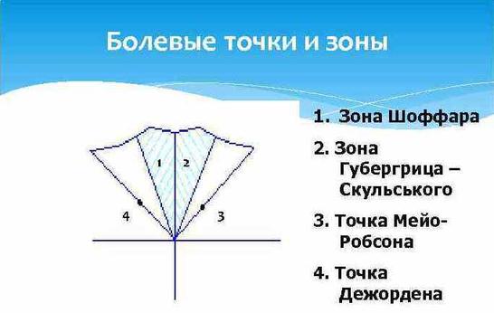 Зона Шоффара: где находится, причины болезненности, пальпация