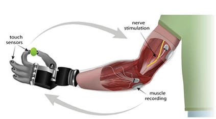 Прорыв в медицине: появился протез, который ощущается как настоящие руки