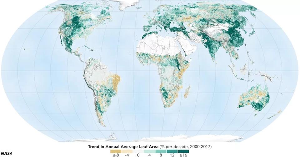 Земля зеленее, чем 20 лет назад, говорит NASA