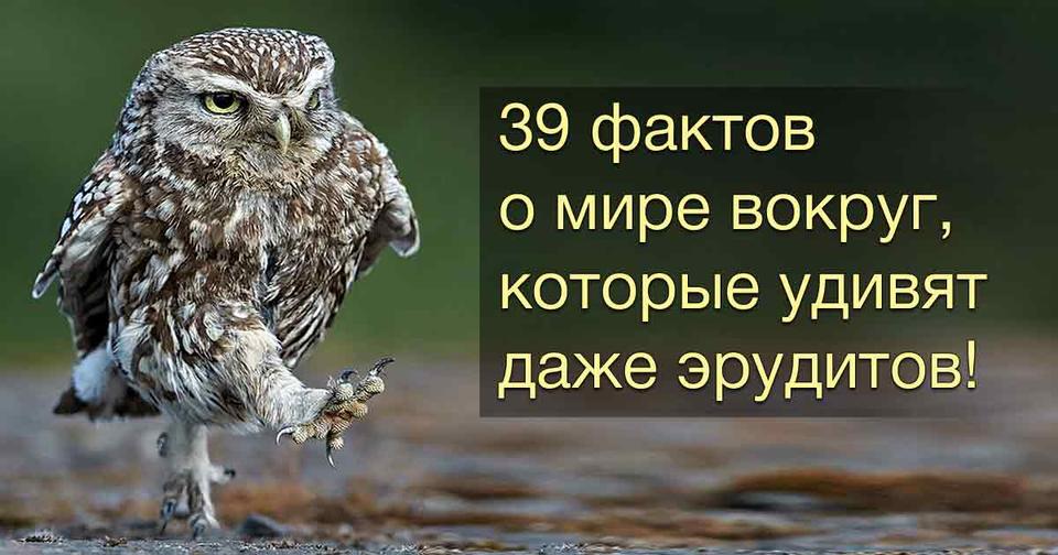 39 фактов о мире вокруг, которые заставят открыть рот даже самых умных из нас