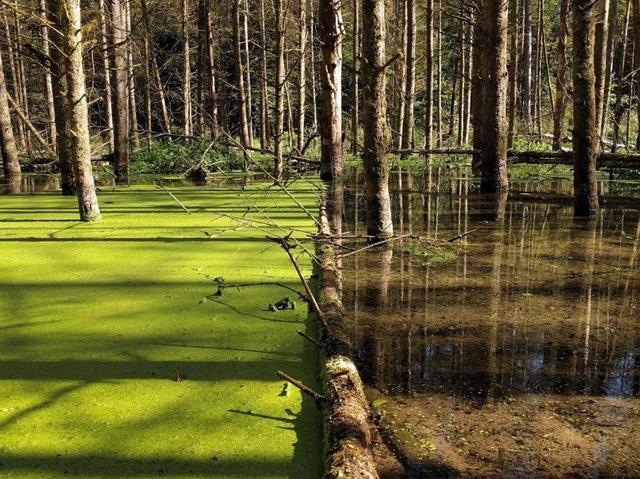 22 фото, которые показывают, что у Матери Природы есть много тузов в рукаве