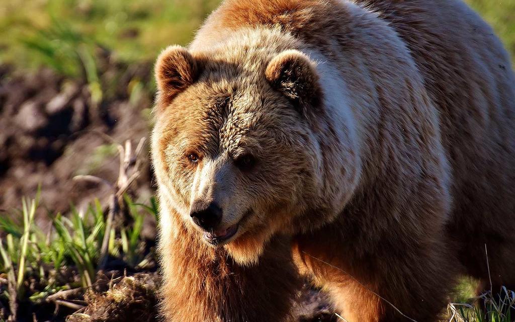 15 малоизвестных фактов, которые однажды могут спасти вам жизнь