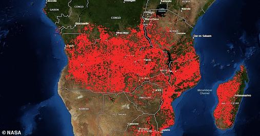 Теперь горит Африка: пожары протянулись на тысячи километров