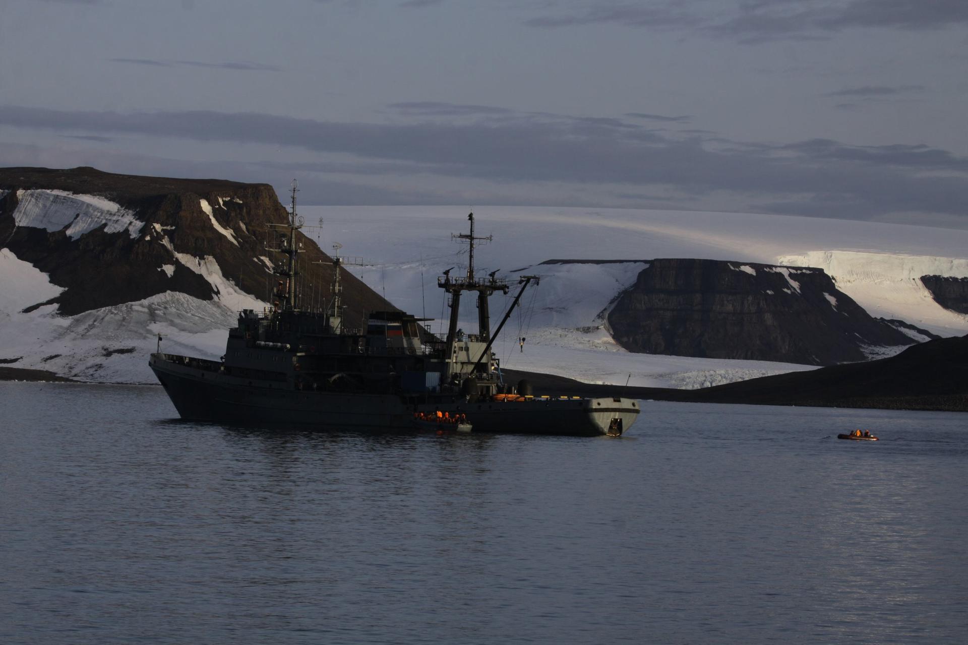 Моржи в Арктике атаковали российский флот — и даже утопили одно судно