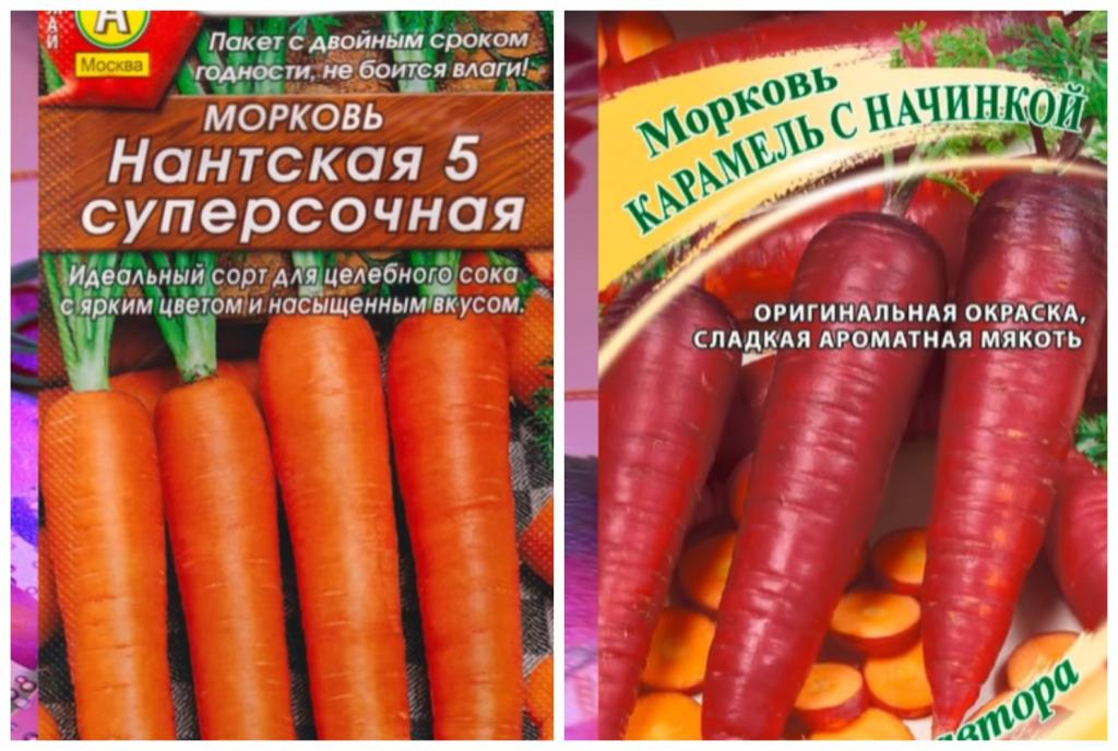 Томат любовь и голуби фото. Томат любовь да голуби в огороде. Томат любовь и голуби.