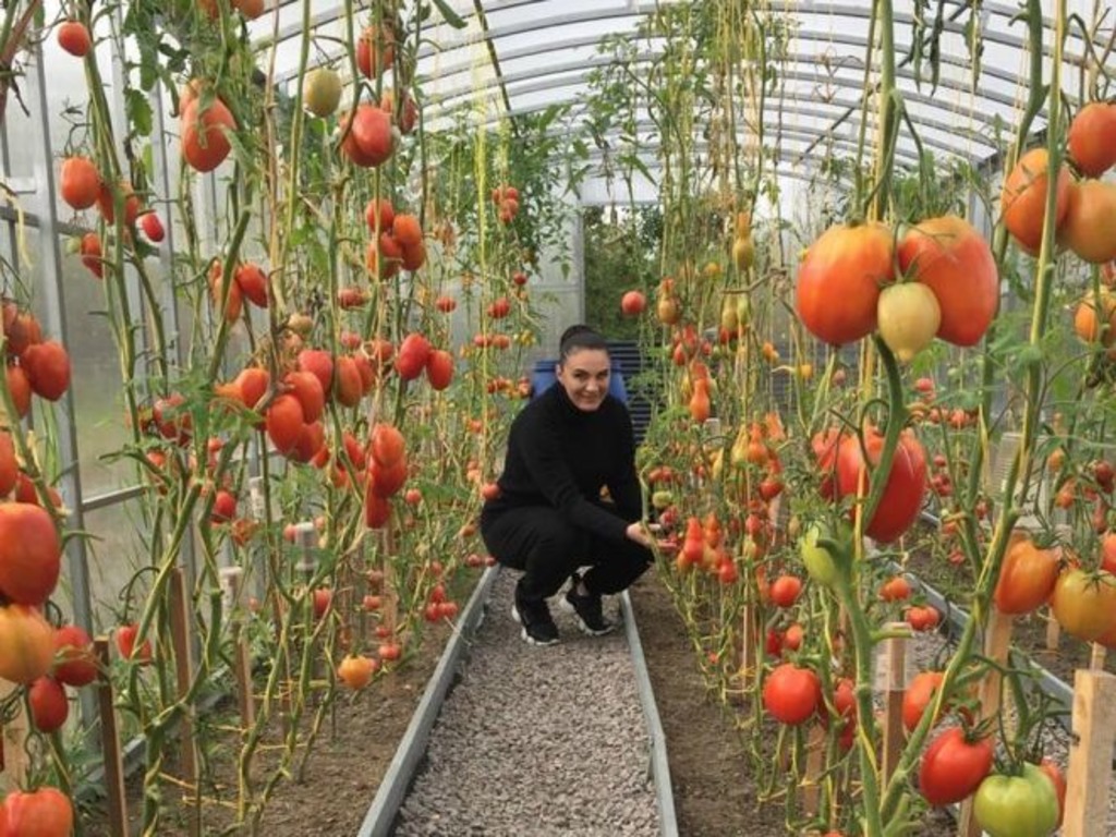 Куры и урожай: чем занимается за городом заядлая дачница Елена Ваенга, чем ей дорог ее дом