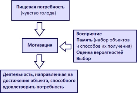 Избирательность в еде у детей — взгляд нейропсихолога