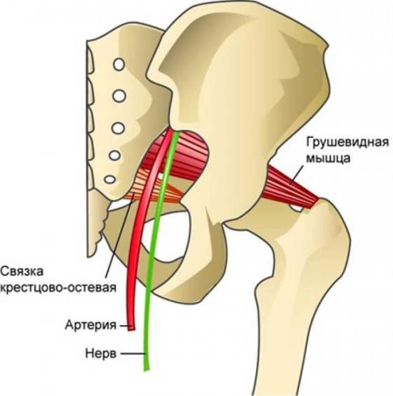 Синдром грушевидной мышцы: 10 упражнений