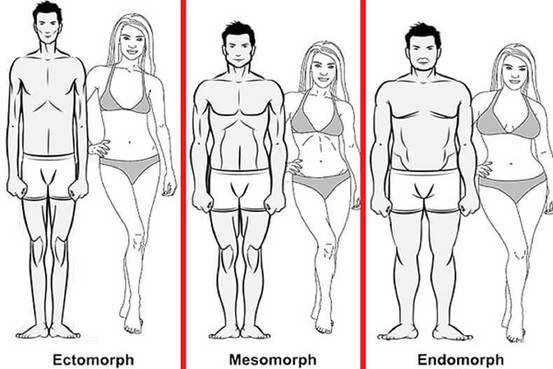 Телосложение и болезни: в чем связь