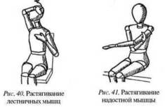 Постизометрическая релаксация мышц: лестничные и надостная мышцы