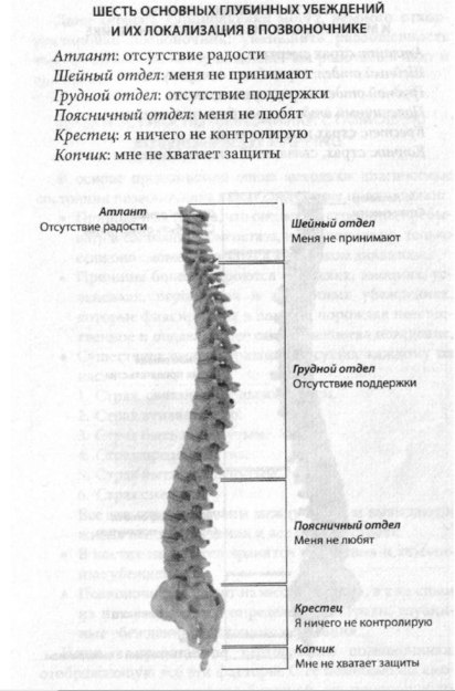 Позвоночник: 6 страхов, живущих в костях 