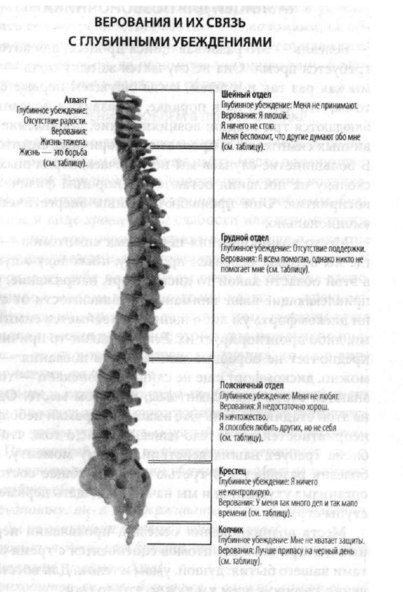 Позвоночник: 6 страхов, живущих в костях 
