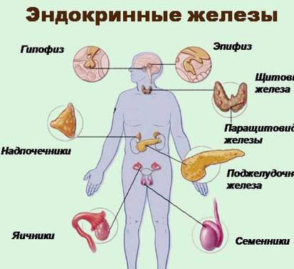 Синдром хронической усталости. Как гормоны от нас устают