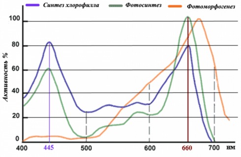 Фитолампы: лампы для комнатных растений и подсветки рассады