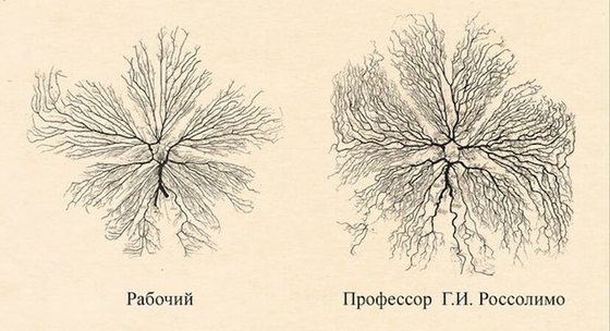 Сложный способ стать счастливым