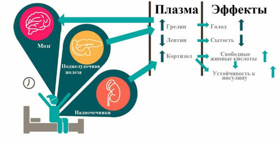 Почему НЕ надо завтракать без привычки