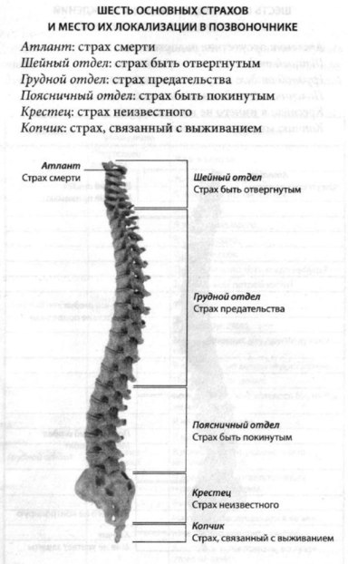 Позвоночник: 6 страхов, живущих в костях 