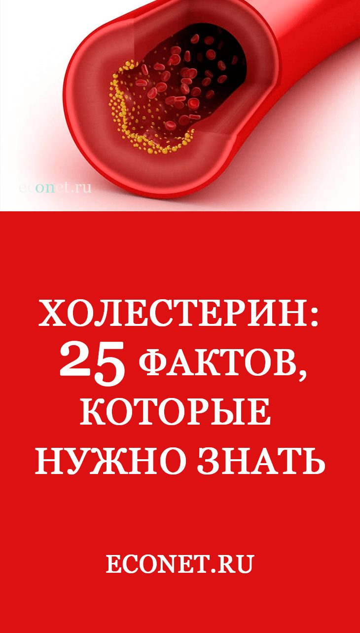 Холестерин: 25 фактов, которые нужно знать 