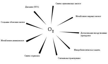 Безопасный способ уничтожения отходов цивилизации